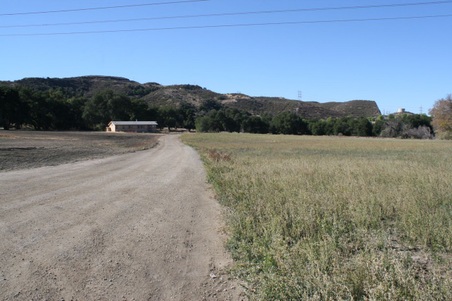 Enlarge photo 133