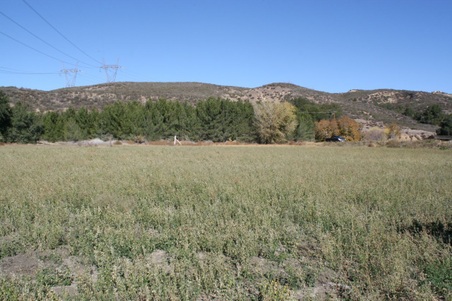Enlarge photo 136