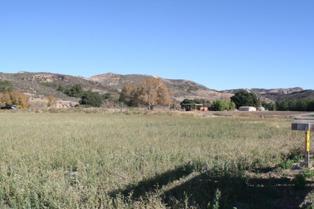 Enlarge photo 137