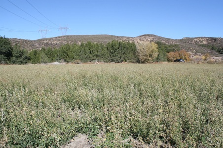 Enlarge photo 140