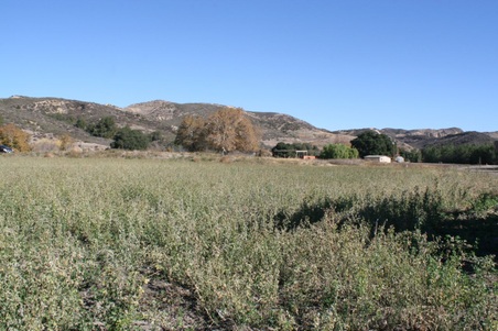 Enlarge photo 141