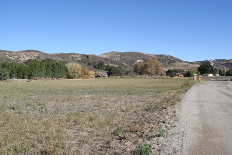 Enlarge photo 145