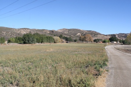 Enlarge photo 150