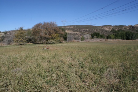 Enlarge photo 154