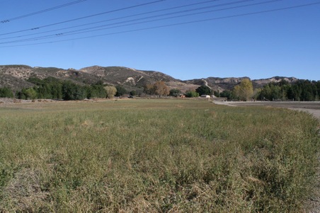 Enlarge photo 155