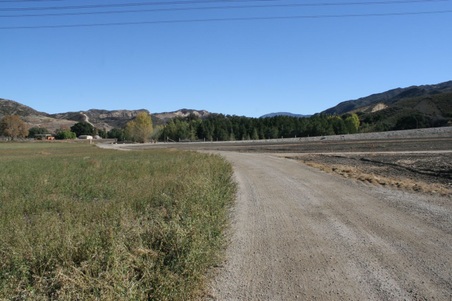 Enlarge photo 156