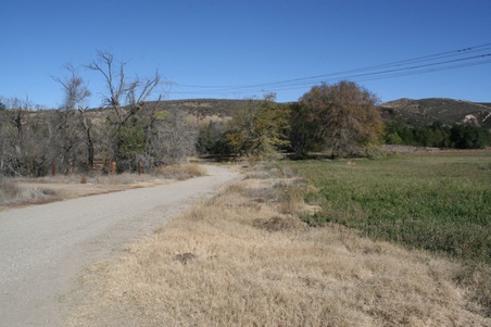 Enlarge photo 157