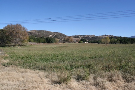 Enlarge photo 158