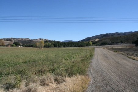 Enlarge photo 159