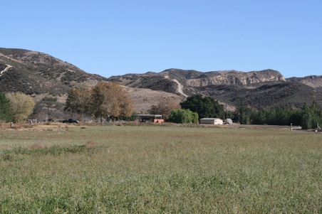 Enlarge photo 160