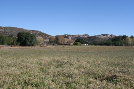 Enlarge photo 162
