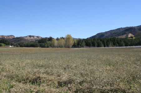 Enlarge photo 163