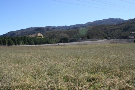 Enlarge photo 164
