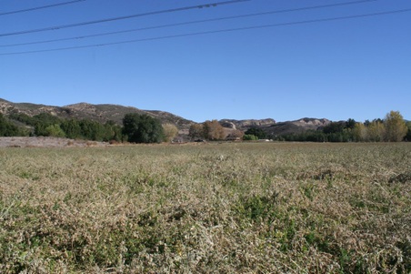 Enlarge photo 165