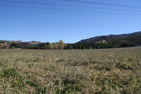 Enlarge photo 166