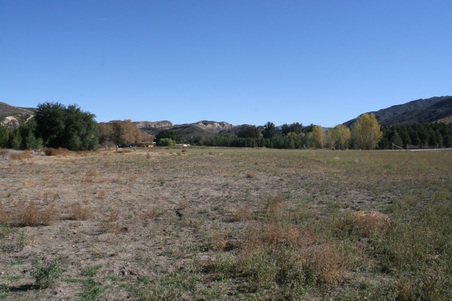 Enlarge photo 168
