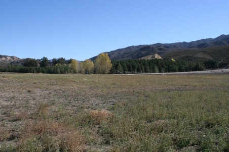 Enlarge photo 169