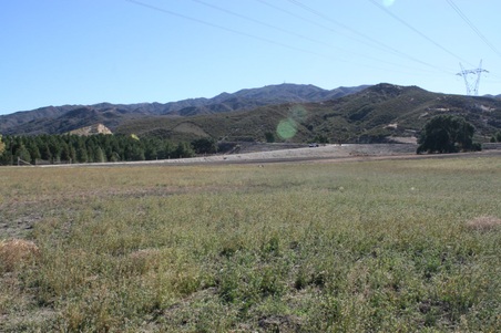 Enlarge photo 170