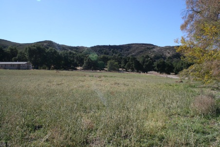 Enlarge photo 172