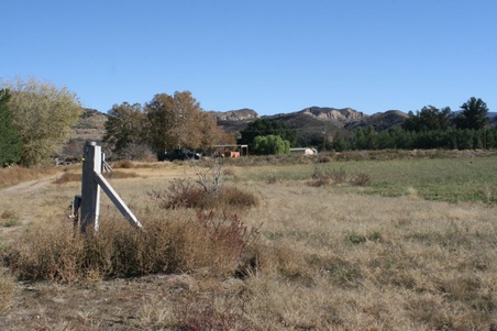 Enlarge photo 173