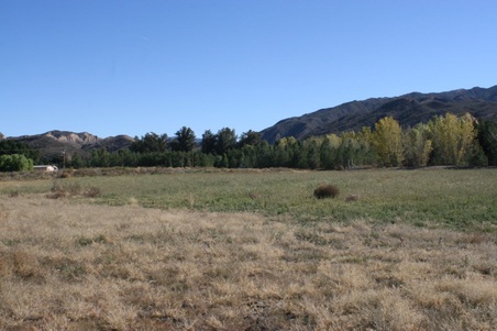 Enlarge photo 174