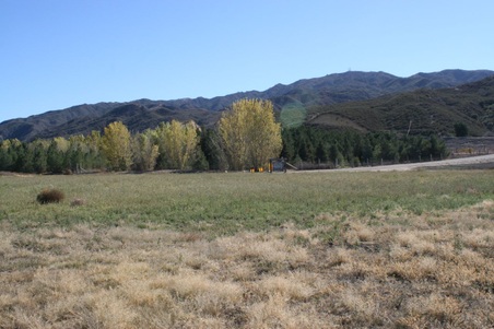 Enlarge photo 175