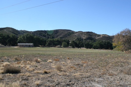 Enlarge photo 178