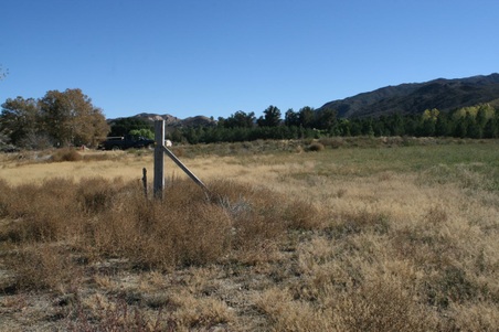 Enlarge photo 179