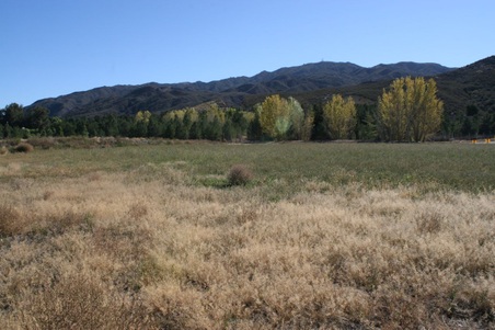 Enlarge photo 180
