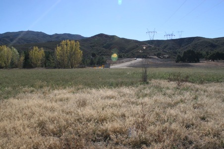 Enlarge photo 181