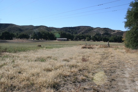 Enlarge photo 182