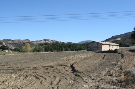 Enlarge photo 184