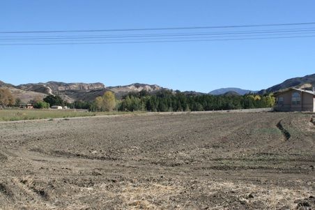 Enlarge photo 185