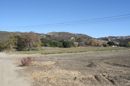 Enlarge photo 186