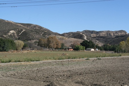 Enlarge photo 187