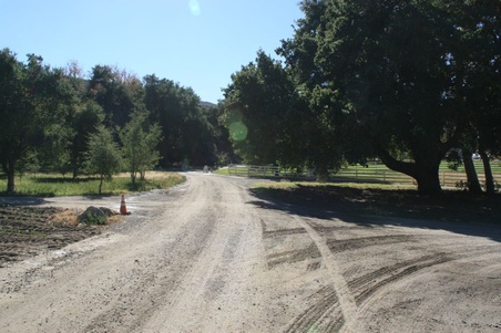 Enlarge photo 193