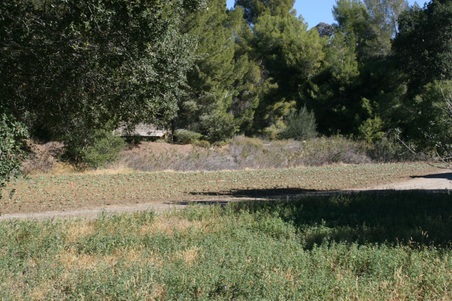 Enlarge photo 196