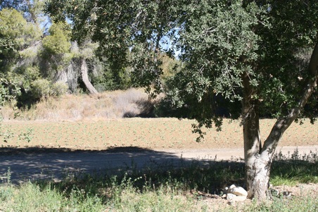 Enlarge photo 197