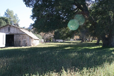 Enlarge photo 198