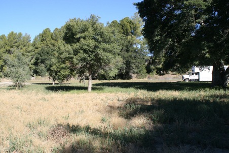 Enlarge photo 199