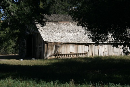 Enlarge photo 203
