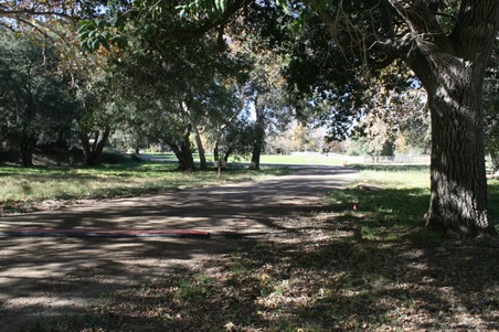 Enlarge photo 204