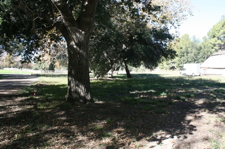 Enlarge photo 205