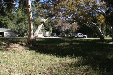 Enlarge photo 208