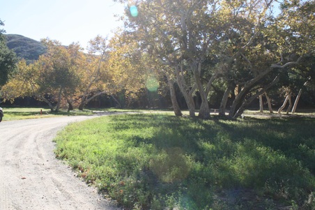 Enlarge photo 215