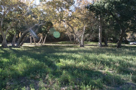Enlarge photo 216