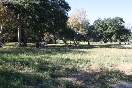 Enlarge photo 217