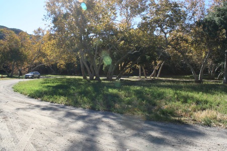 Enlarge photo 220
