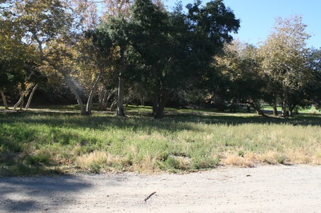 Enlarge photo 221