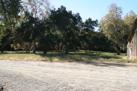 Enlarge photo 226